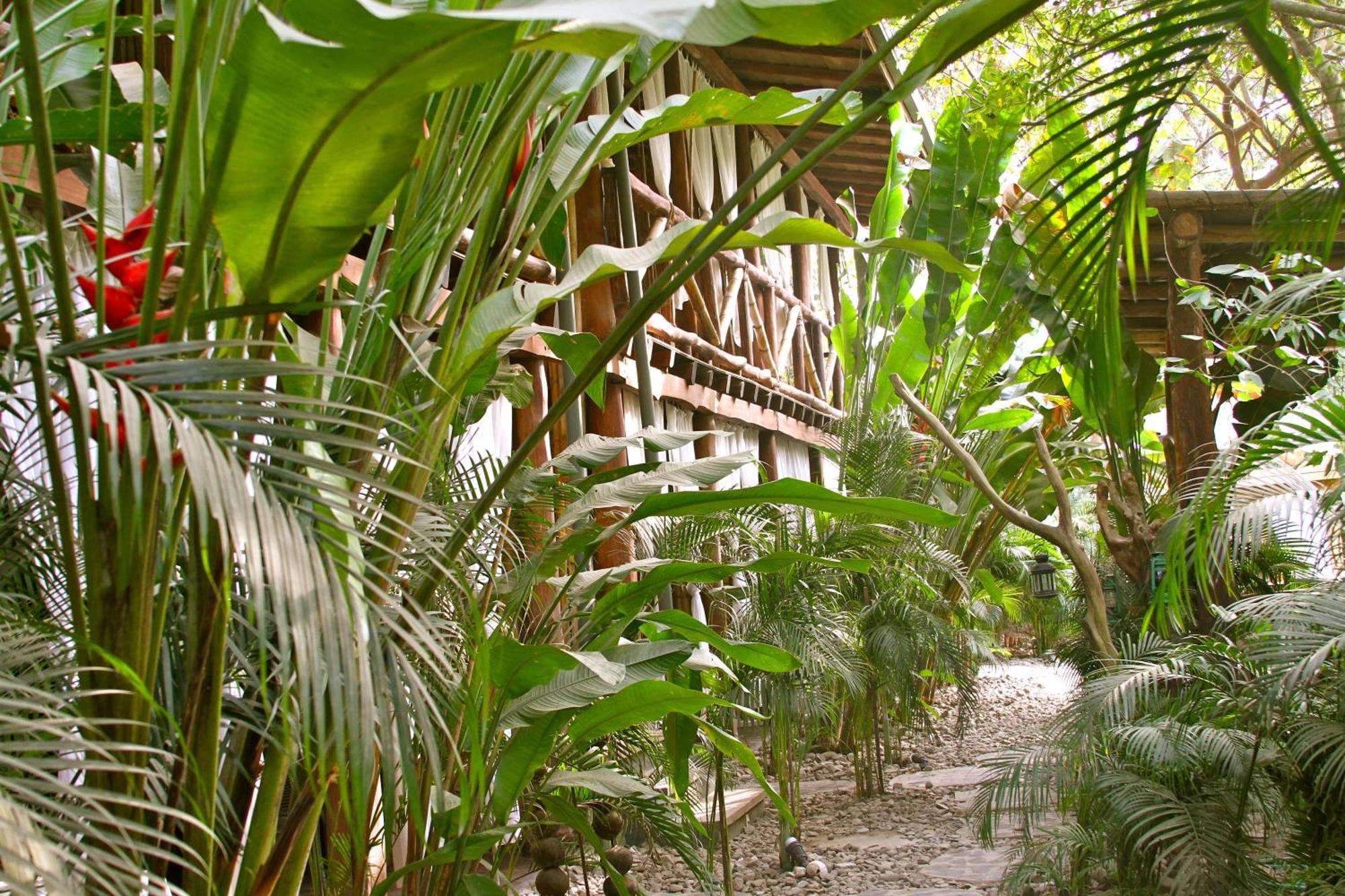 Canaima Chill House Playa Santa Teresa  Exteriér fotografie